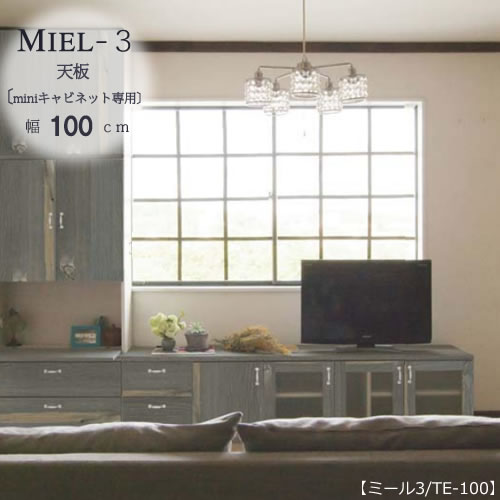 壁面収納 MIEL-3/ミール 天板 ＴＥ－１００ 【国産】【ユニット