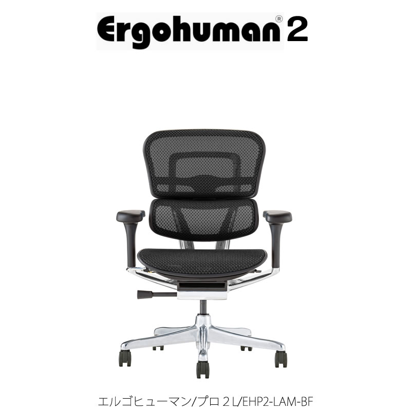 エルゴヒューマンプロ２/ロータイプ/EHP２-LAM-BF【Ergohuman/オフィス