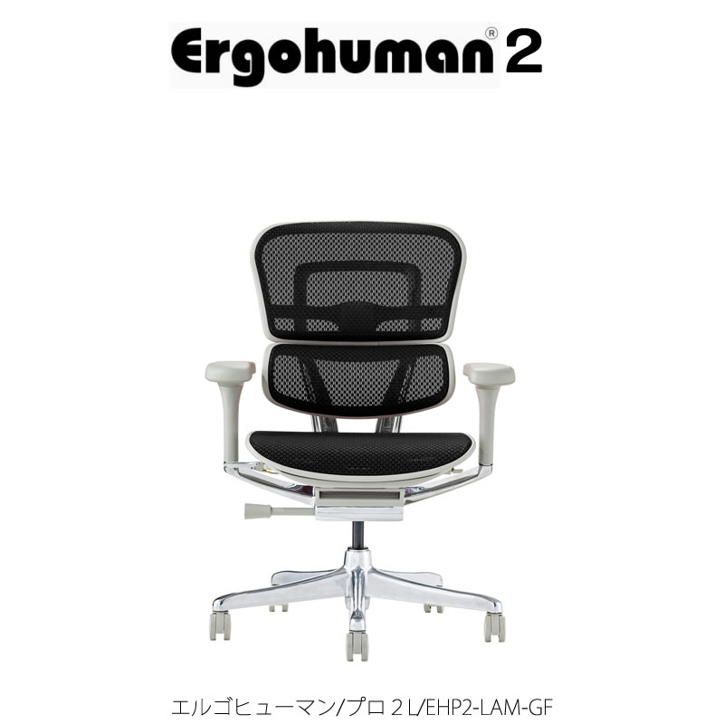 エルゴヒューマンプロ２/ロータイプ/EHP２-LAM-GF【Ergohuman/オフィス